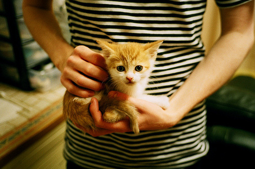 钢铁脊柱—奥恰洛夫独取两分扛起德国战车,力克波兰锁定生死线