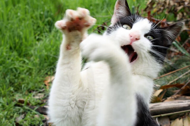 赛场内外皆英雄,独行侠轻取江苏队之夜,杜兰特刷新纪录,更刷新公益新高度