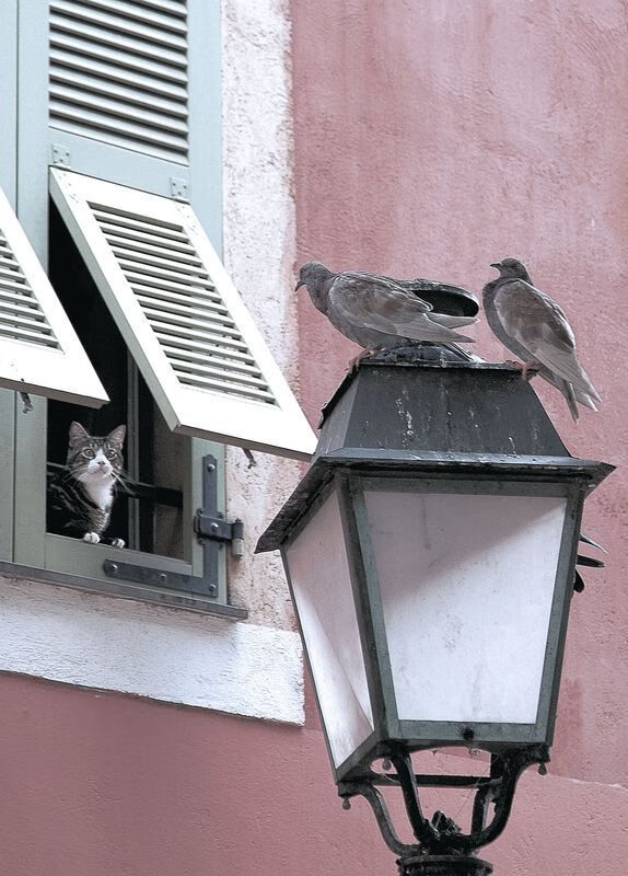 破晓，当萨拉赫以肩为阶，扛起塞内加尔的黎明 记一场改写历史的力克