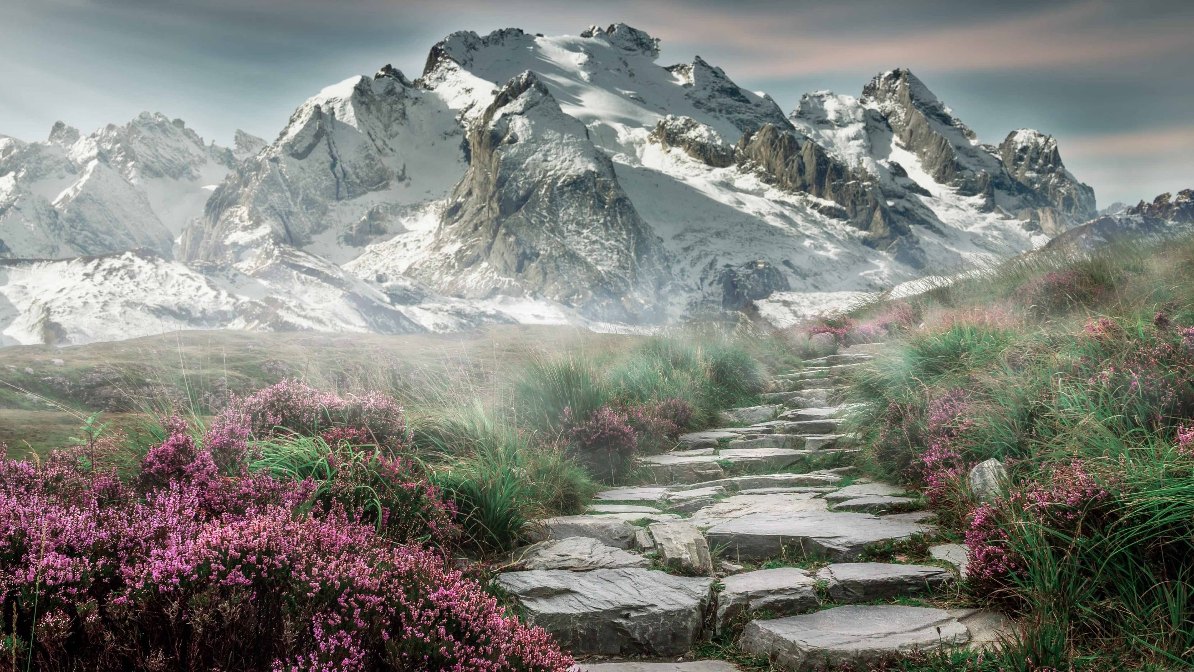 魔术破除心魔，哈登孤舟渡快船