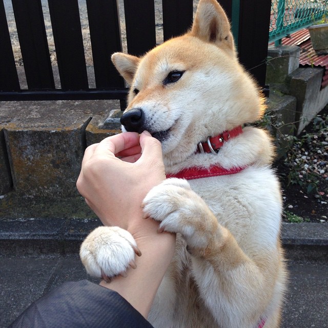 梦幻之夜,久保建英的NBA关键进球传奇