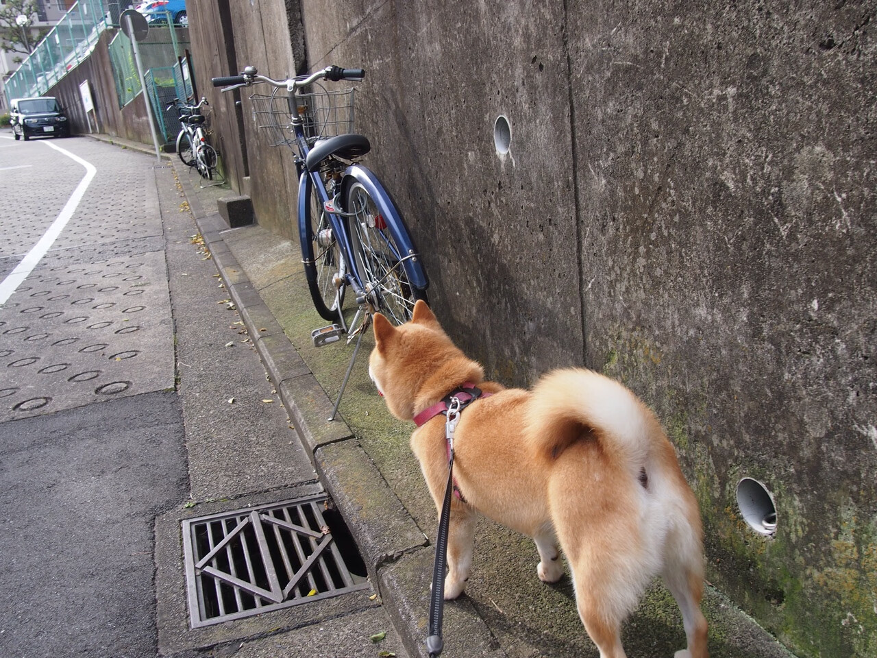 范弗利特独舞太原城，当草根成为巨人，他与山西队掀翻了骑士王朝的巨轮