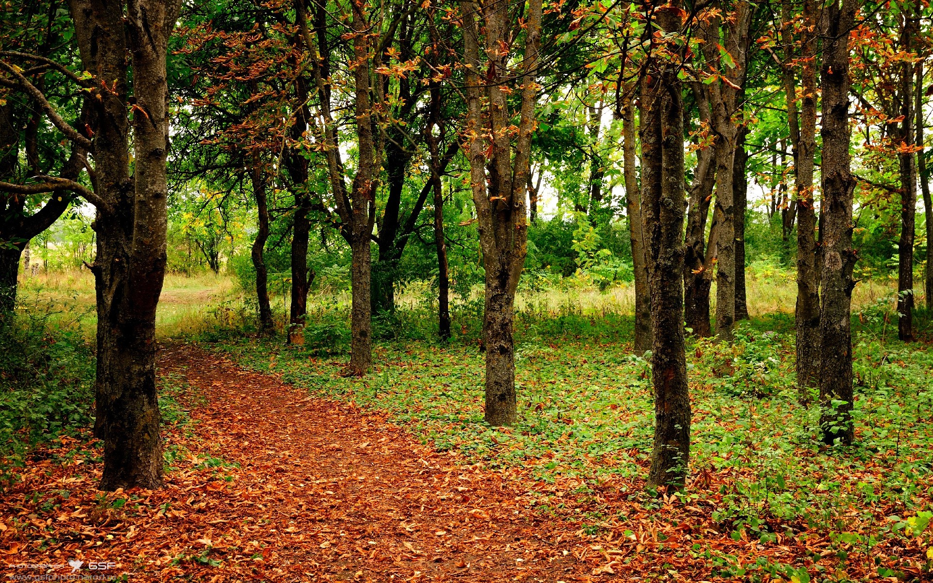 钢铁防线化身尖刀,阿坎吉90分钟神剧本绝杀波兰