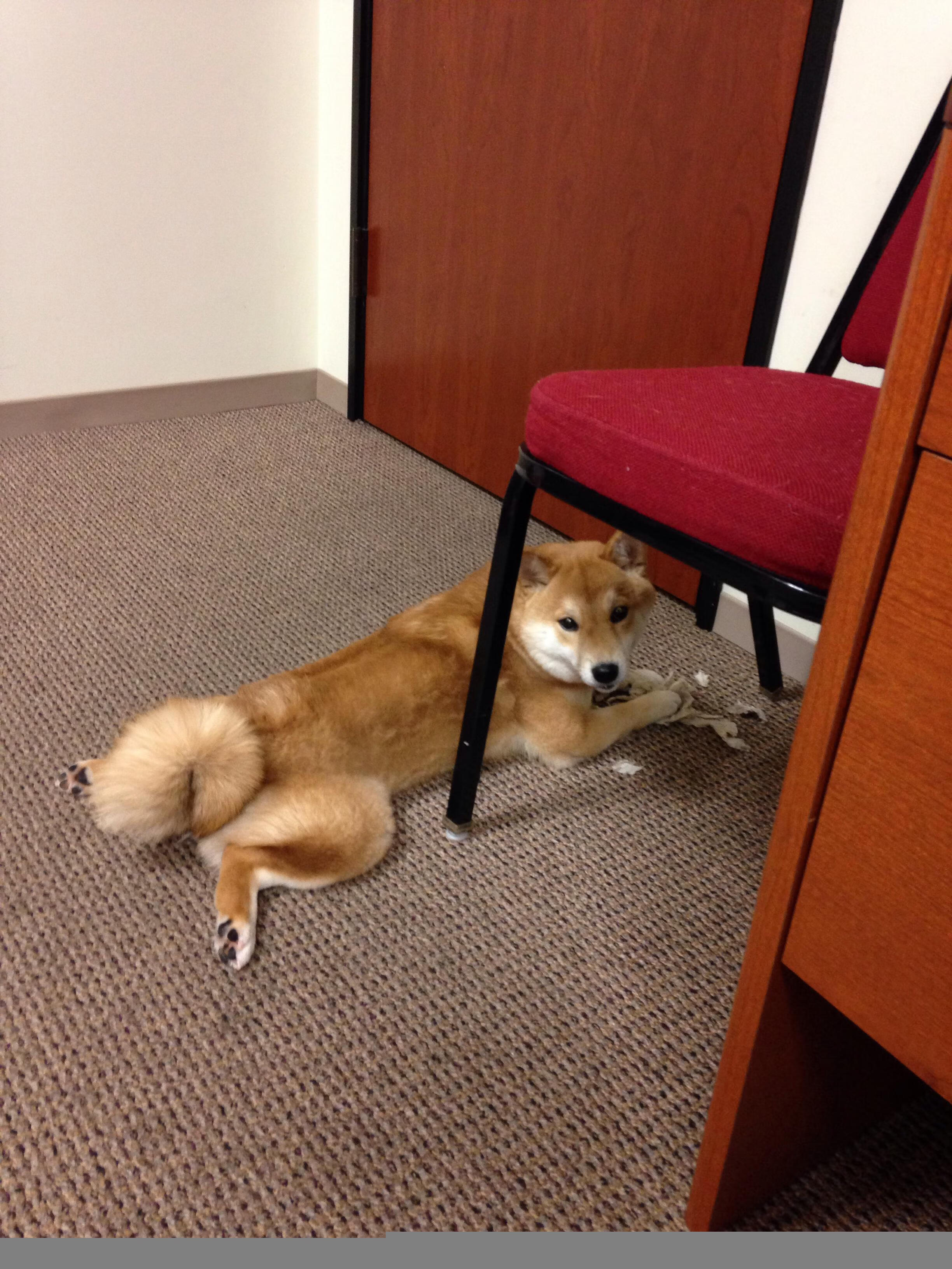 陨落与新生，从淘字到金字的炼成之路