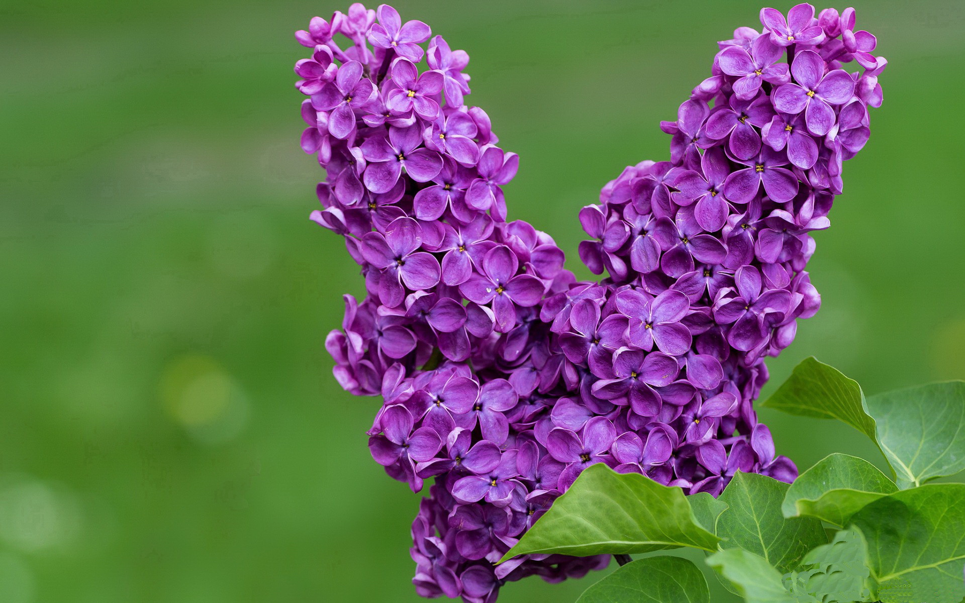 友谊赛？不，这是拜仁给安哥拉的一堂战术窒息实战课，与迪巴拉的百场救赎