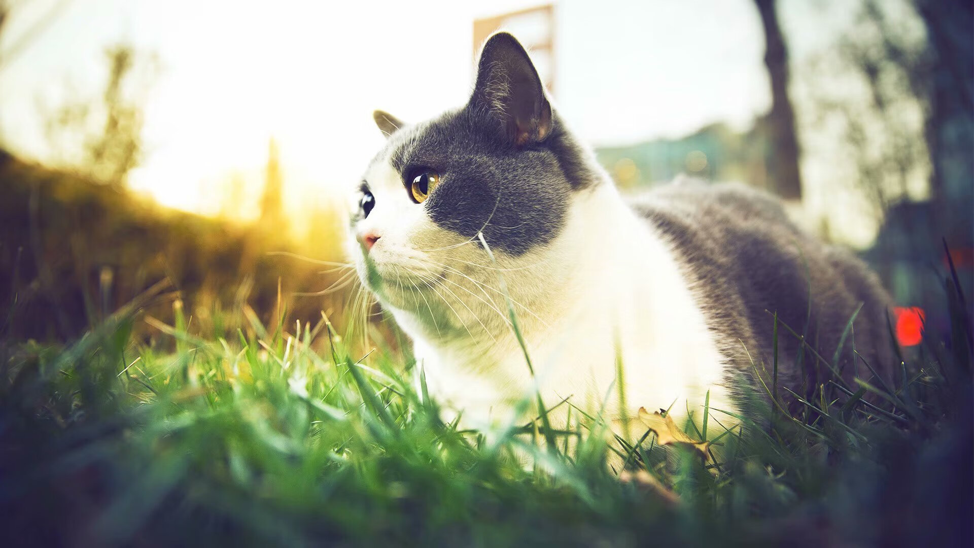 关口，被动的高墙与主动的悬崖