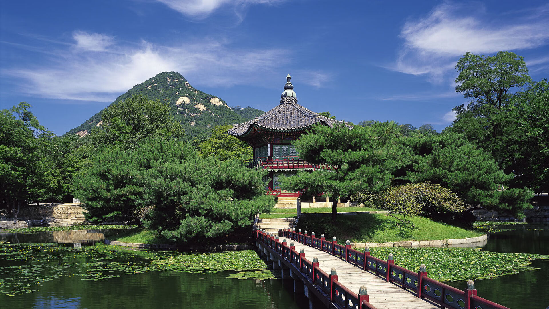 郁金香风暴，2026世界杯黑马之战，荷兰以全场压制之势横扫丹麦，福登致命一击定乾坤