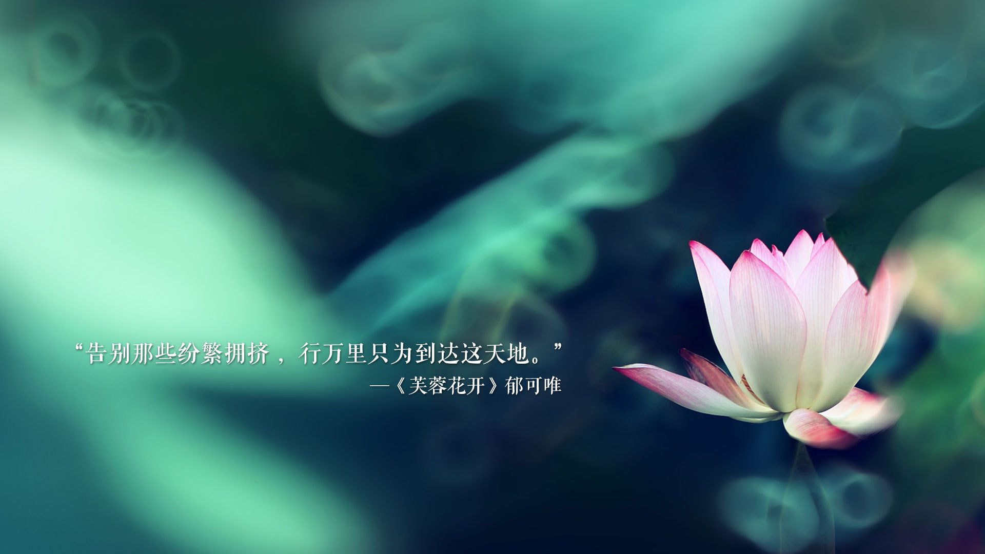 沙漠中的闪电,2026世界杯H组,巴西险胜伊朗,哈基米完成致命一击