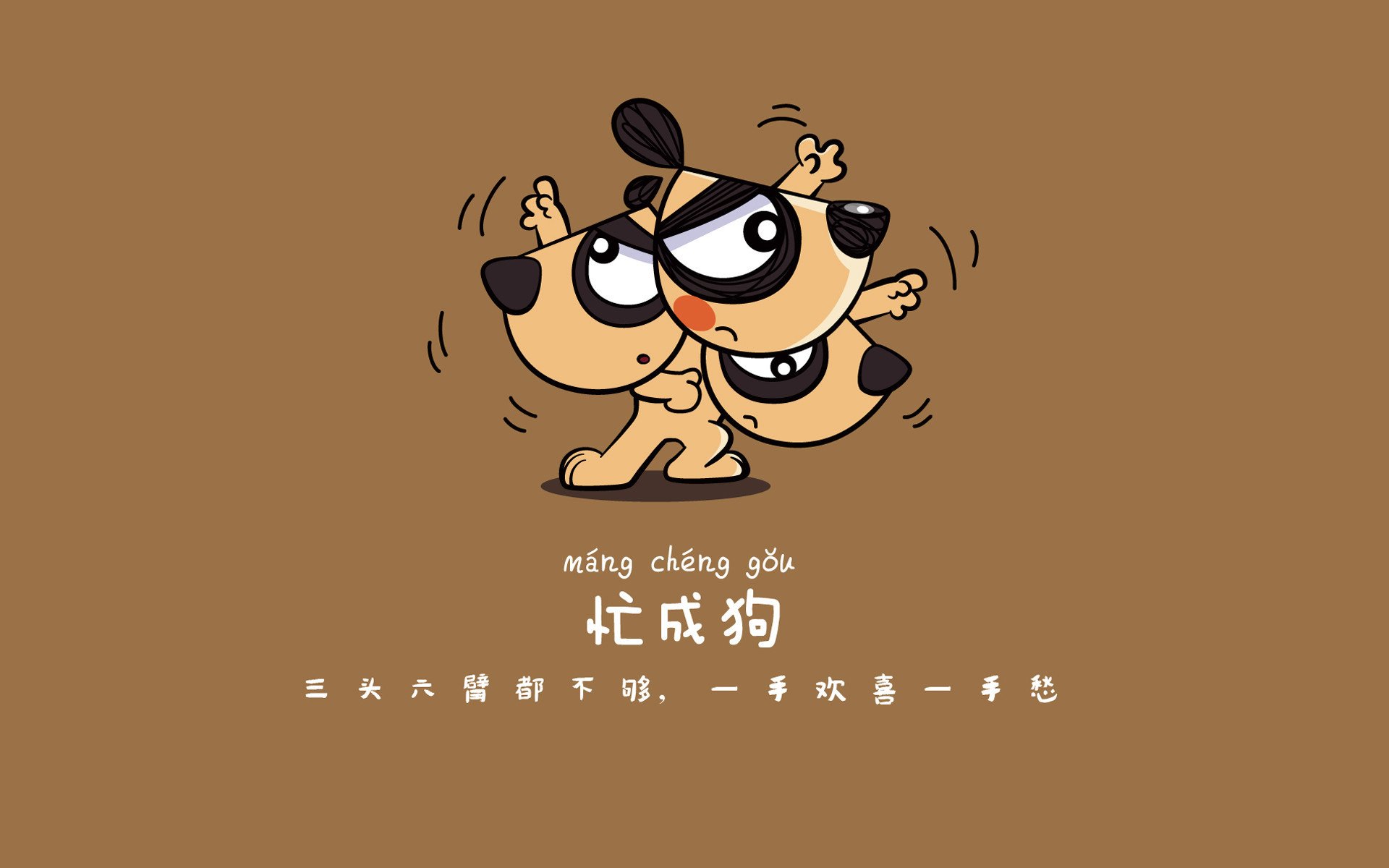 极速闪电刺破东欧铁幕，厄瓜多尔以唯一性反击哲学，在2026世界杯D组写下惊艳一章